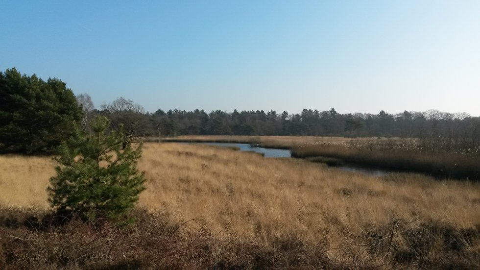 Wandeling Oud Meer en Putjesbergen, Son & Breugel